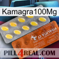 Kamagra100Mg 42